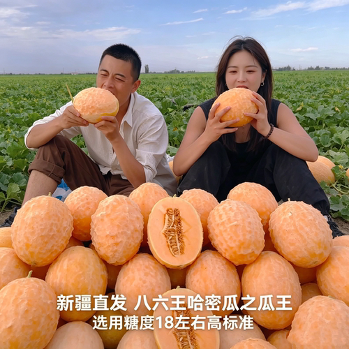 平均糖度18哈密瓜中之王