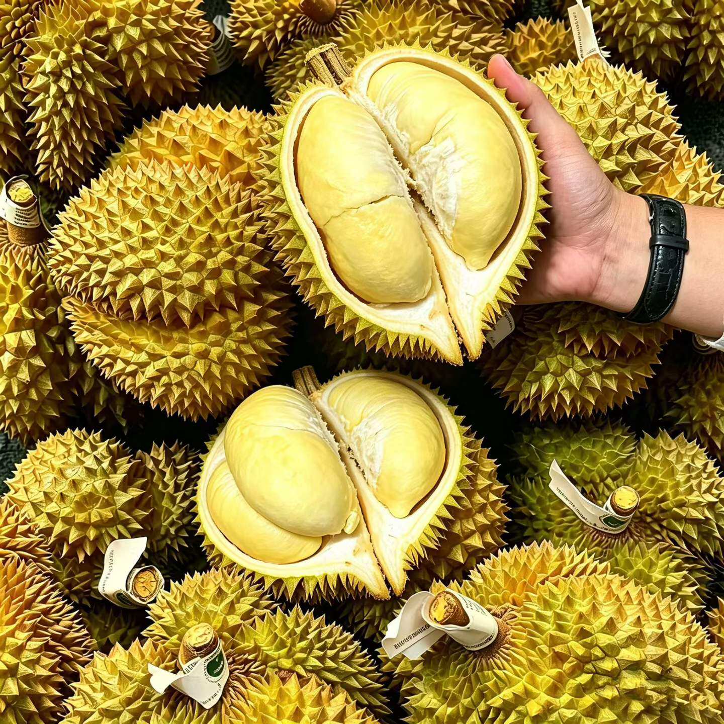 泰国金枕榴莲10斤新鲜水果当季整箱巴掌小榴莲鲜果一整个顺丰包邮