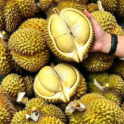 泰国金枕榴莲10斤新鲜水果当季整箱巴掌小榴莲鲜果一整个顺丰包邮