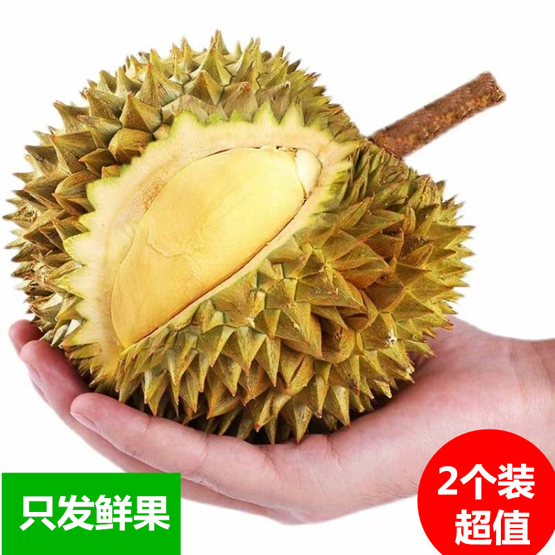 【金枕出肉高核小果丑】泰国金枕榴莲迷你巴掌新鲜水果一整个带壳