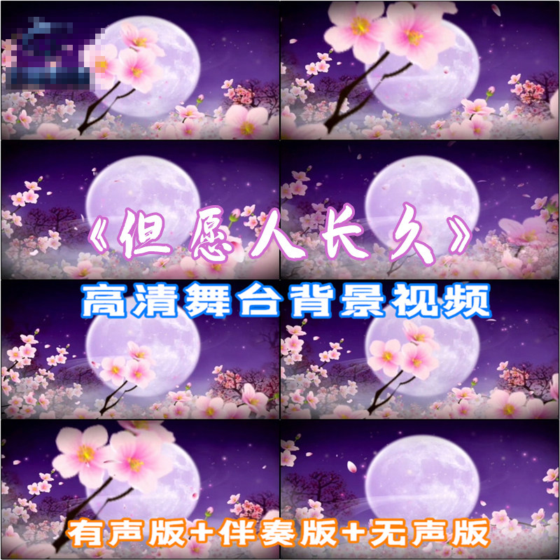 歌曲 但愿人长久 中秋圆月唯美花瓣飘落背景视频 LED大屏幕高清