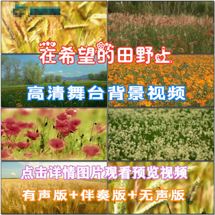 在希望的田野上 歌曲配乐 伴舞 LED春节晚会舞台大屏幕高清视频