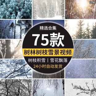 寒冷 下雪天树林森林树枝头积雪冬天大雪花飘落实拍视频素材 冬季
