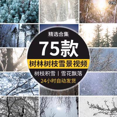 寒冷的冬季下雪天树林森林树枝头积雪冬天大雪花飘落实拍视频素材