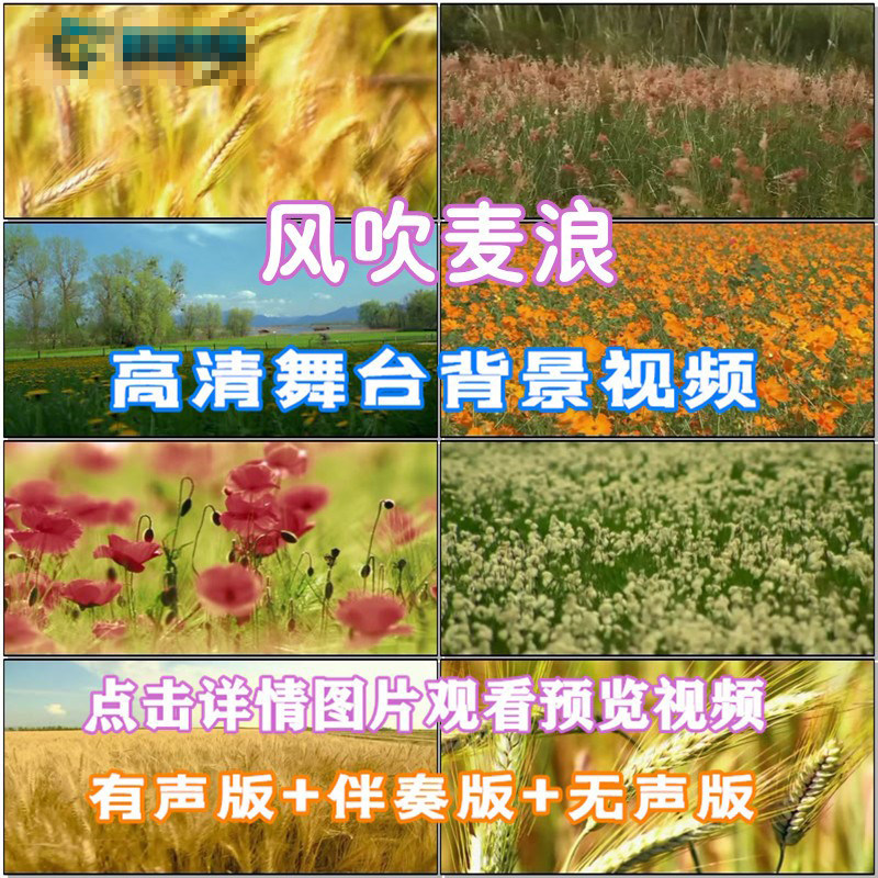 风吹麦浪 歌曲配乐 伴舞 LED春节晚会舞台大屏幕高清视频素材定制