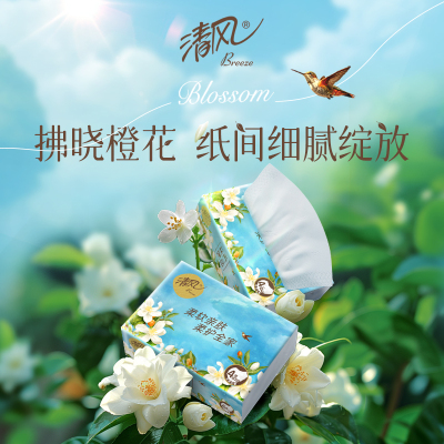 【直播链接】清风丝柔花萃抽纸4层80抽24包家用纸巾