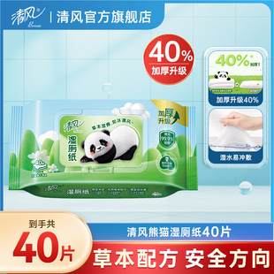 厕纸湿巾私处洁厕巾湿巾纸 U先 清风湿厕纸女性1包40片实惠装