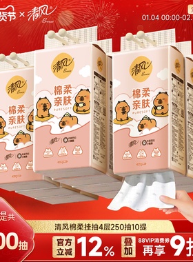 【李昀锐同款】10提250抽悬挂式纸巾纸抽家用整箱挂式手纸卫生纸