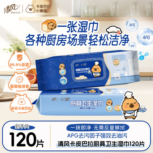 清风卡皮厨房湿纸巾60片2包