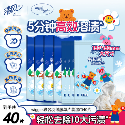 清风羽绒服湿巾单片装40片
