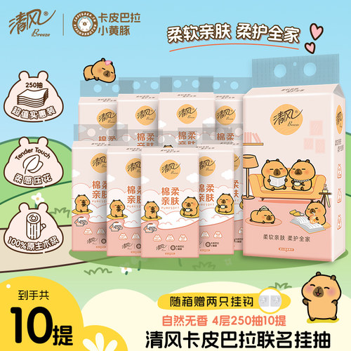 清风卡皮巴拉棉柔挂抽4层250抽10提整箱家用卫生纸抽纸by