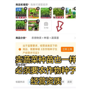 农作物种子生产经营备案表代办蔬菜种子秧苗证个体执照个体授权