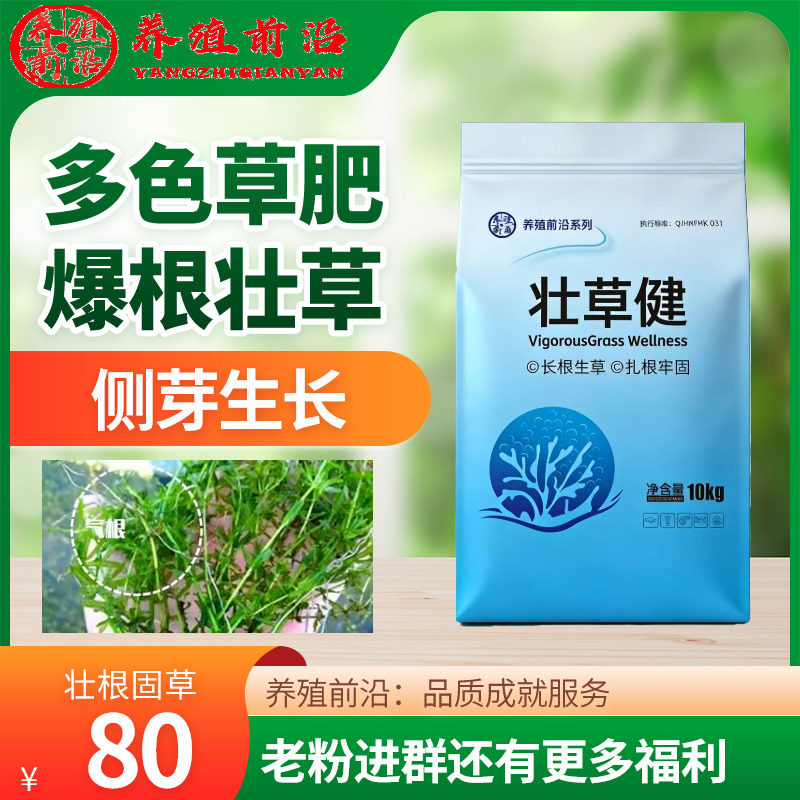 养殖前沿壮草健多色肥爆根壮草侧芽生长伊乐藻吃不败小龙虾水草用,畜牧/养殖物资,水质调节剂,淘宝优惠券,粉丝福利购,淘宝优惠卷