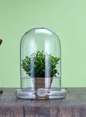 桌面透明防尘保鲜苔藓生态瓶