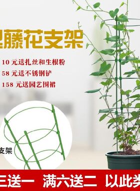 铁丝网树苗支花的架子爬杆插杆钢丝扣家用铁架盆栽花支架植物定型