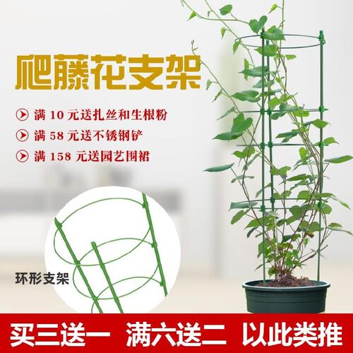铁丝网树苗支花的架子爬杆插杆钢丝扣家用铁架盆栽花支架植物定型