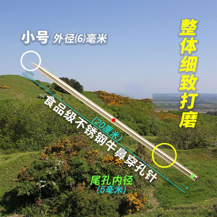304不锈钢牛鼻针牛鼻钳子打通刺穿孔刀安装环圈栓夹器自动犊针