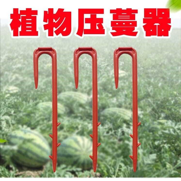5斤西瓜甜瓜压蔓器塑料叉子育苗器压苗叉藤蔓植物固定器压蔓生ii.