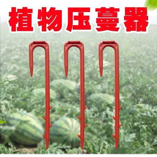 5斤西瓜甜瓜压蔓器塑料叉子育苗器压苗叉藤蔓植物固定器压蔓生ii.