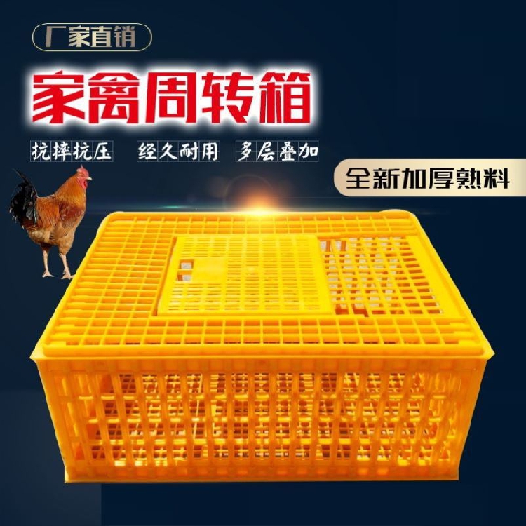家禽运输笼塑料周转箱发货