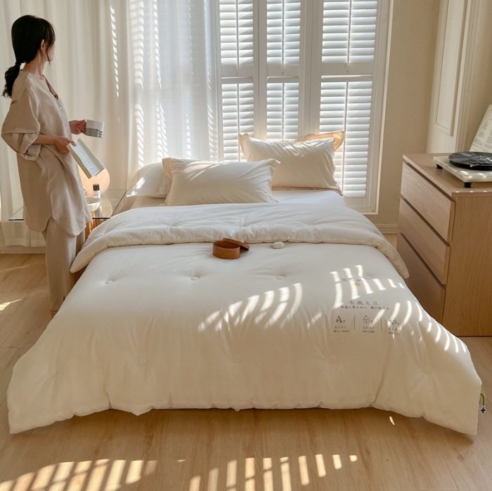 A类全棉水洗棉大豆被被子冬被春秋被保暖被芯床上用品,床上用品,化纤被,淘宝优惠券,粉丝福利购,淘宝优惠卷