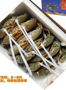 三门青蟹水产鲜活海鲜特大青蟹公蟹母蟹肉蟹处子4斤6-8只礼盒装
