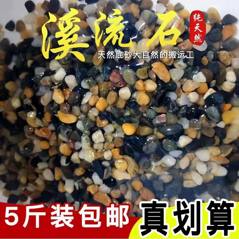 原生鱼缸底砂造景沙溪流砂溪流石沙子雷龙龟缸天然河沙石美大肌砂