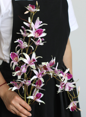 高品质[澳洲石斛兰]仿真花假花家居客厅装饰花线条型花材美陈造景
