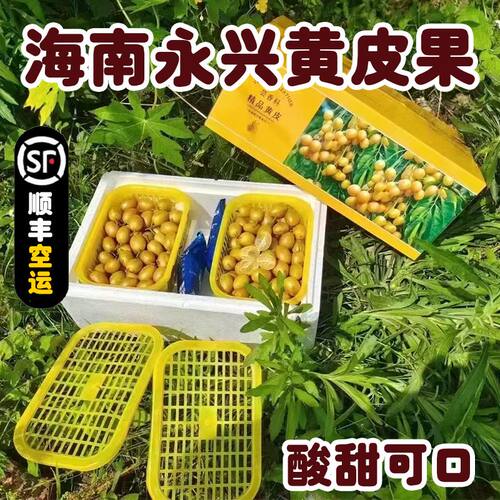 海南海口永兴黄皮现摘先发