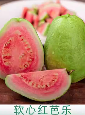 海南特产红心牛奶草莓芭乐番石榴软糯口新鲜孕妇水果大果礼盒