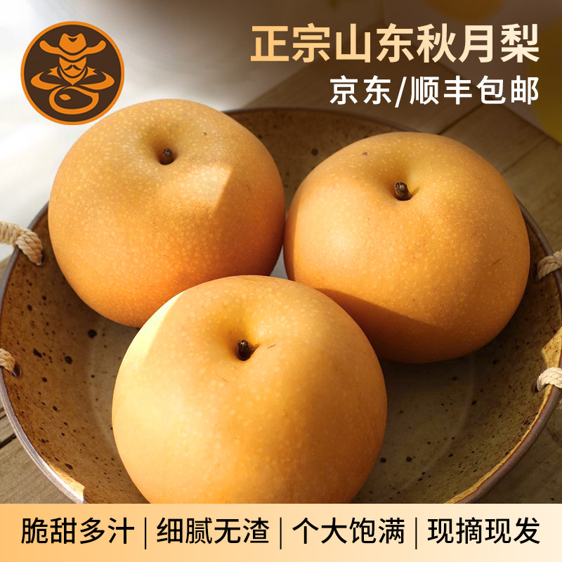 山东莱阳秋月梨当季现摘新鲜
