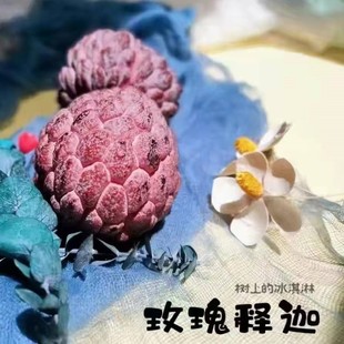 海南三亚特产玫瑰释迦新鲜水果五斤礼盒装大果空运礼盒