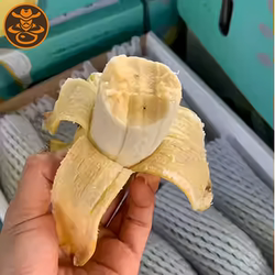 海南五指山树熟芭蕉野香蕉孕妇宝宝新鲜水果自然生长粉糯顺丰