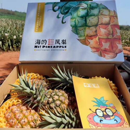 凤梨冬蜜海南淡香豆奶味魁恋金钻冬蜜凤梨树上熟新鲜孕妇水果纯甜