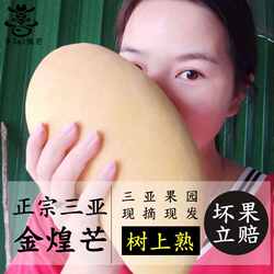 正宗海南三亚牛zai很芒水仙金煌芒果带箱10斤3-12个新鲜水果顺丰
