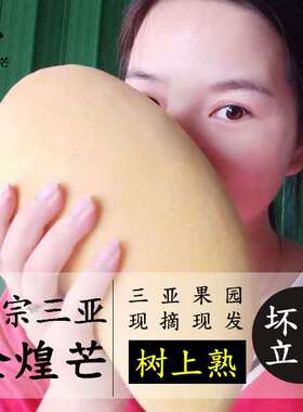 海南三亚特产金煌芒果精品带箱十斤礼盒装3-12个新鲜水果顺丰包邮