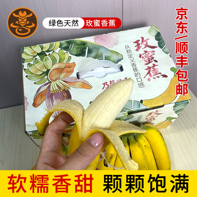 海南树熟小个头玫瑰香蕉4斤装