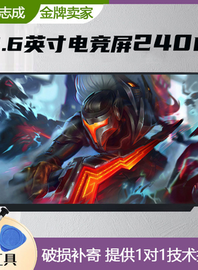 微星绝影GS66 GE66 幻影15 GE65 Raider液晶屏显示屏幕165/240HZ