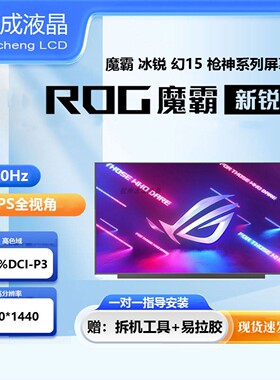 华硕ROG 魔霸5 6 G513R/Q 幻15 GA503R/Q M G533Z/W 电脑液晶屏幕