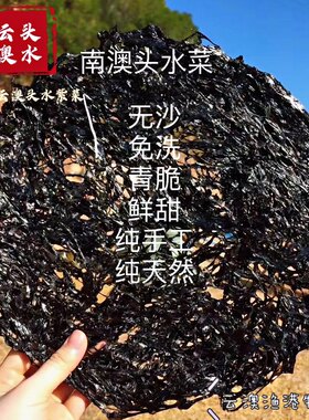 今年新货汕头南澳岛头批特级云澳头水紫菜无沙爽口500g包邮送礼