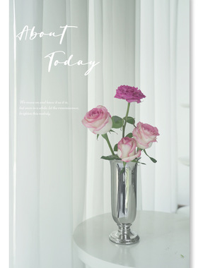 SilverOne轻法式高脚花瓶复古高级镀银白色客厅桌面玫瑰插花摆件