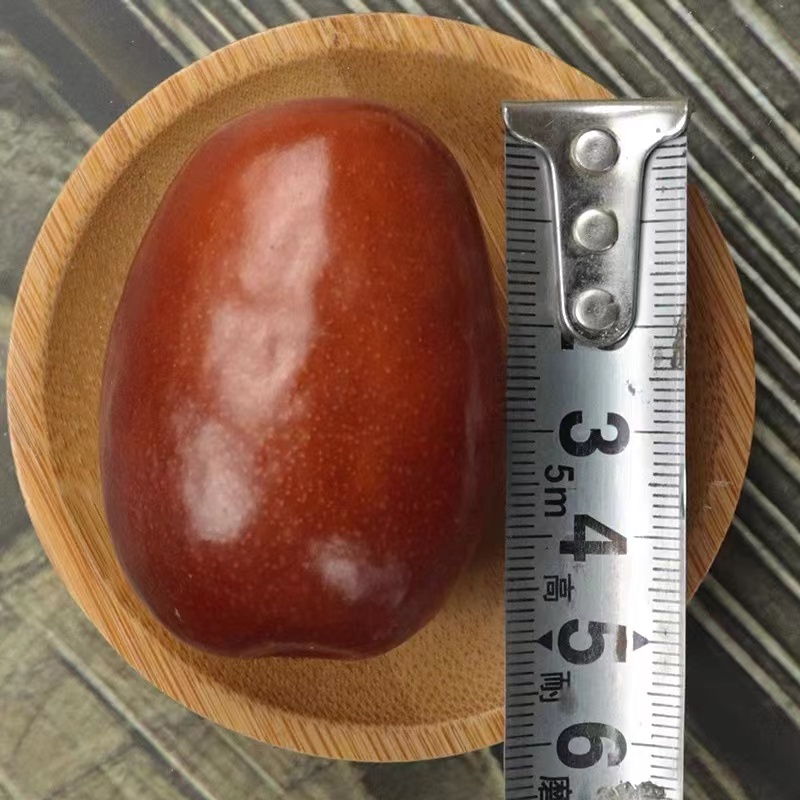 山西壶瓶枣 脆枣 鲜枣 日常休闲新鲜水果小吃 零食 鲜货 脆枣