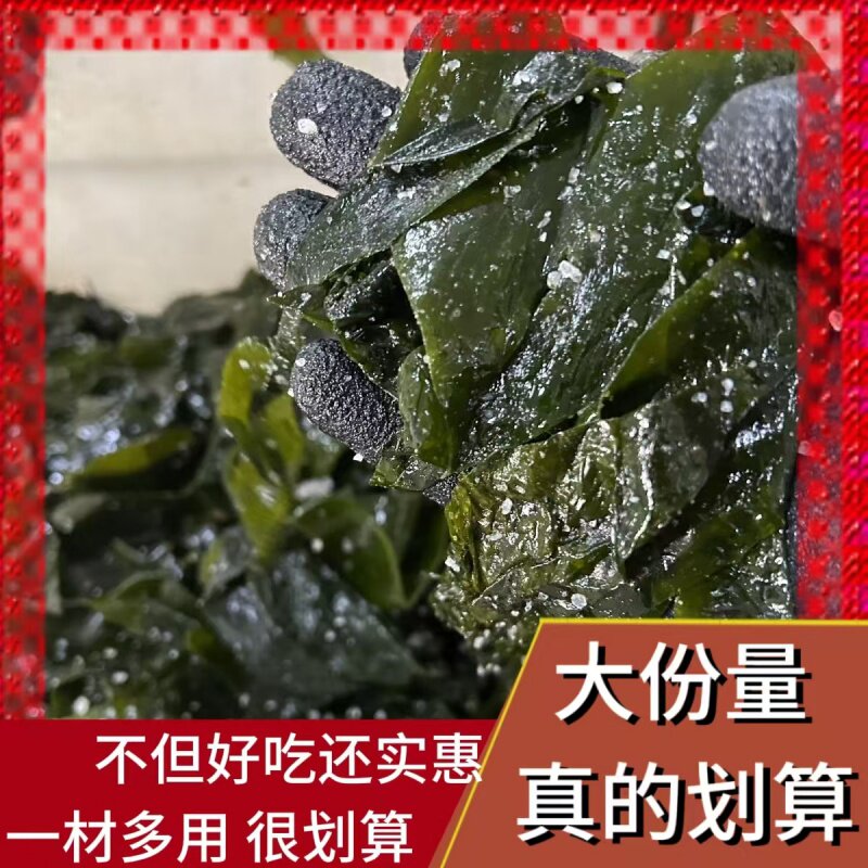 盐渍海带边新鲜炒炖凉拌煲汤涮锅