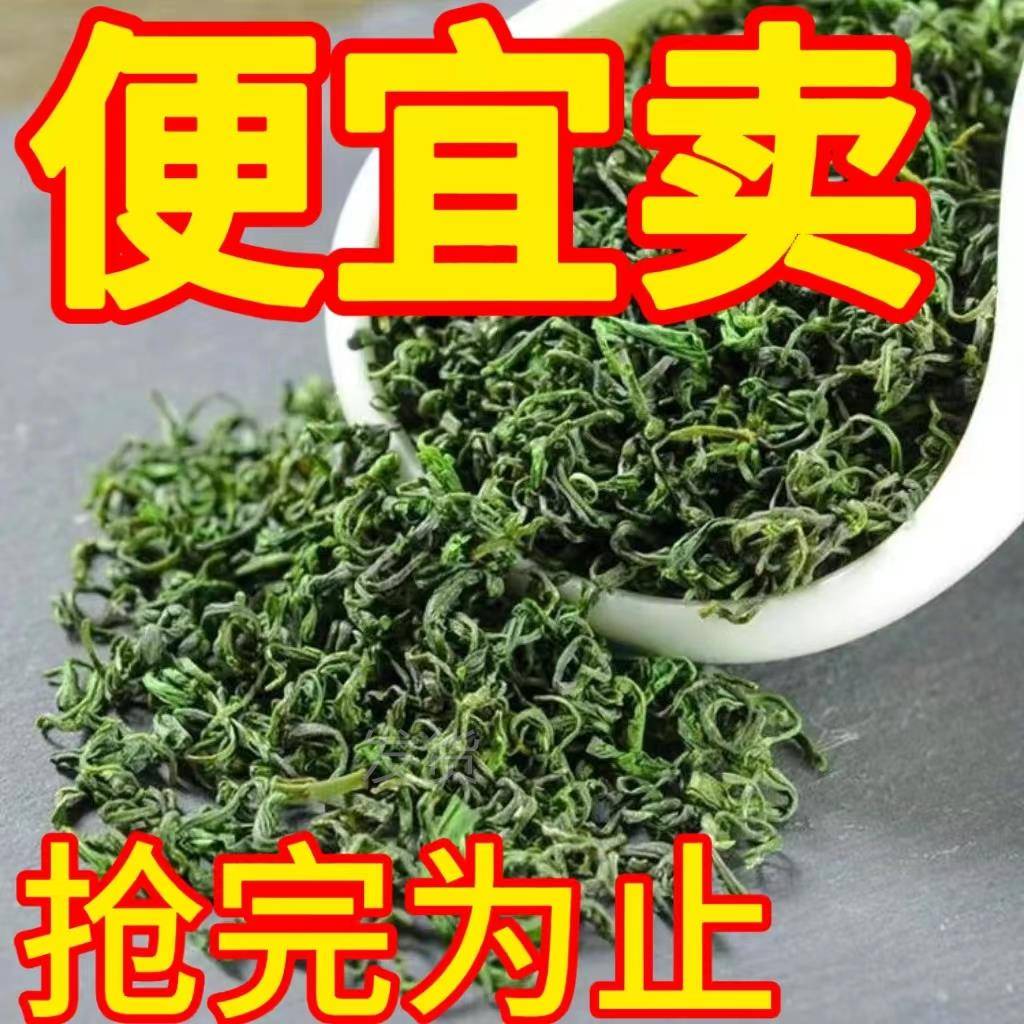 绿茶散装山东日照绿茶袋装浓香耐泡自己喝口粮茶山东特产