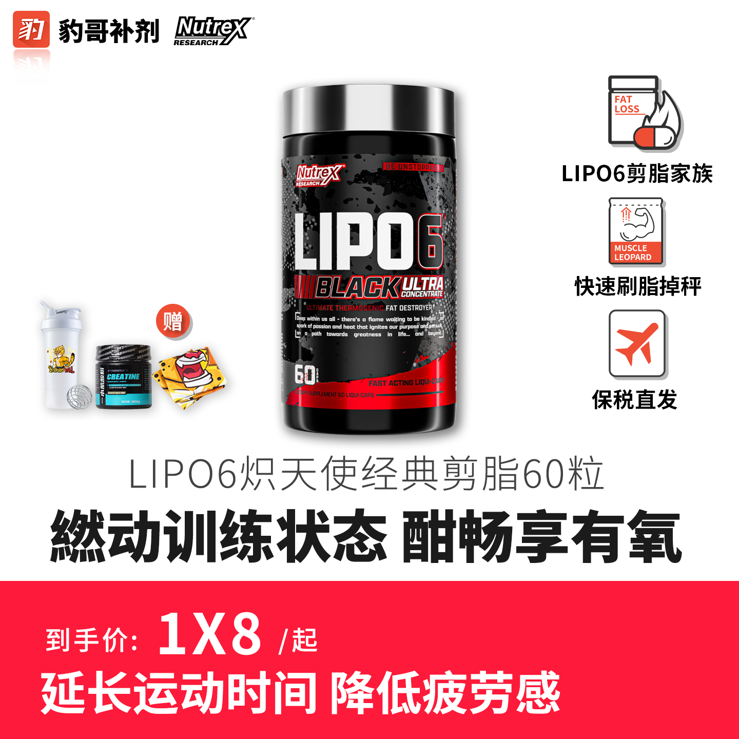 美国炽天使黑魔/膳食营养补充剂