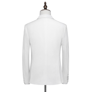 3D图-外贸新款男士西服套装双排扣西装三件套礼服款套装6041P310图片