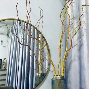 德国金云龙柳树新鲜枝条袋鼠爪鲜花材干鲜切花枝水养插花进口水培