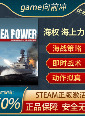 海权 海上力量 sea power 即时战术 动作拟真 策略 Steam正版PC