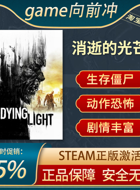 消逝的光芒 Dying Light PC中文正版steam游戏 国区激活码CDKey