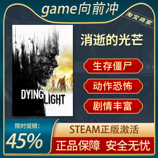 Light Dying PC中文正版 steam游戏 CDKey 消逝 国区激活码 光芒